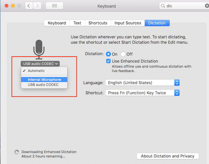 Dictation preferences highlighting dock being selected as Mic input as detailed above.