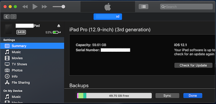 iPad Pro connection verified from iTunes window.