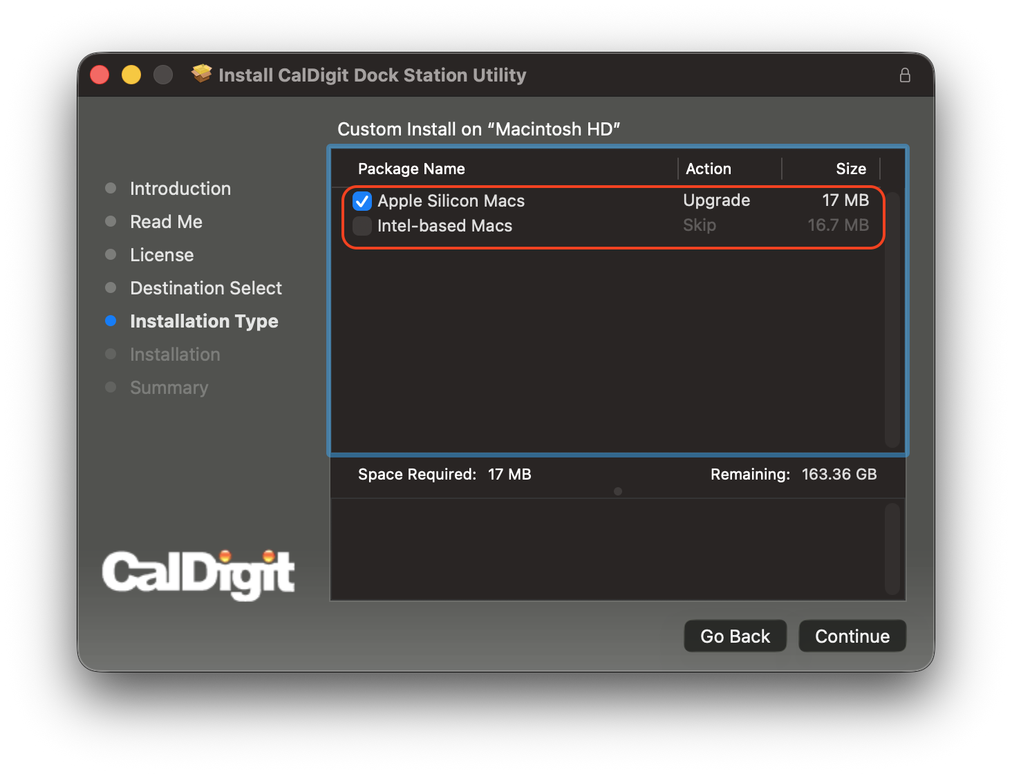 Screenshot of the Installation Type selections during the installation process of the CalDigit Docking Station utility.